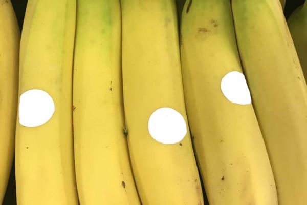 GMB and SH Pratt & Co sign recognition agreement